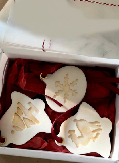 Christmas Wax Sachets (CC)