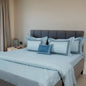 Junoon Blue Punk Junoon Light Pink (400 TC) - 100% Cotton King-Size Bedsheet + 2 Pillow Covers