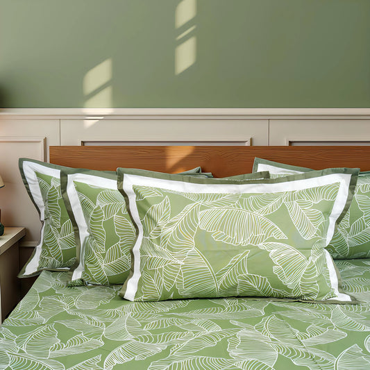 Lavish Olive Grove 100% Cotton King-Size Bedsheet + 2 Pillow Covers
