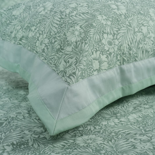 Lavish Sage Green 100% Cotton King-Size Bedsheet + 2 Pillow Covers