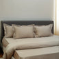 Luxor Caramel Comfort (300 TC) - 100% Cotton King-Size Bedsheet + 2 Pillow Covers